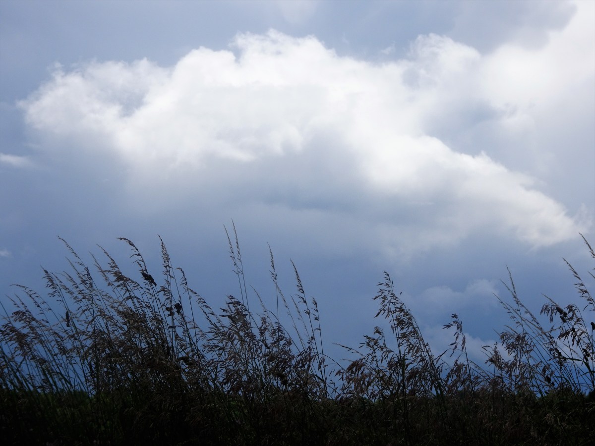 MAA – Day 28 – One Wedding, Several Graduations and a&nbsp;Funeral