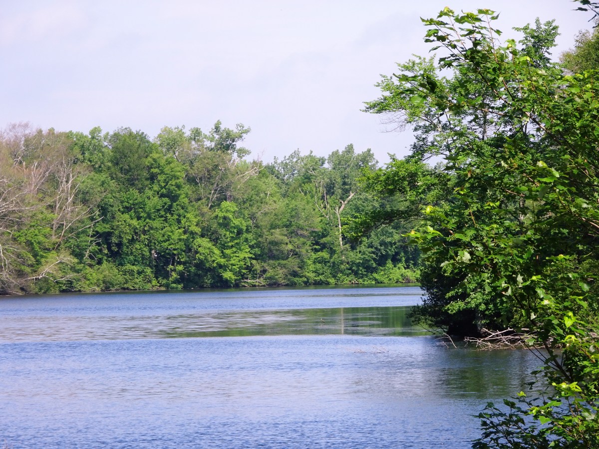 MAA – Day 32 – Solo&nbsp;Ride?