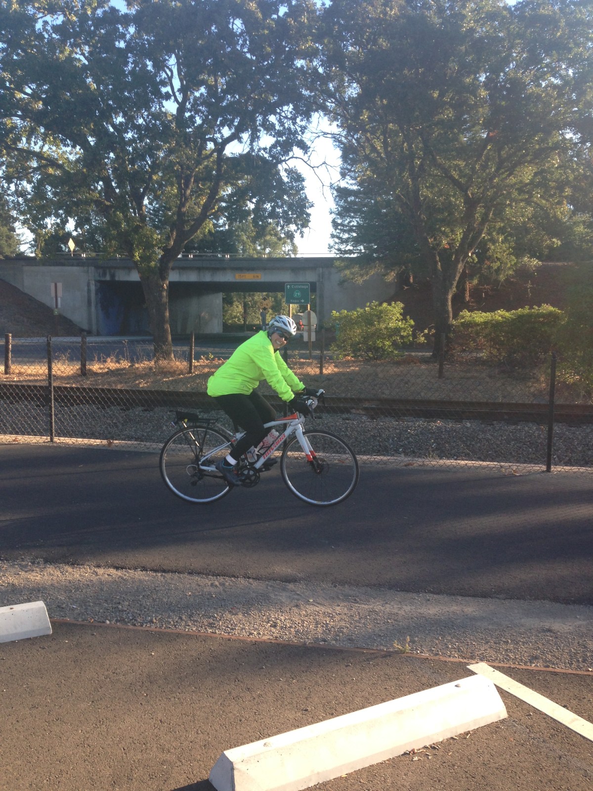 A Day in the&nbsp;Life