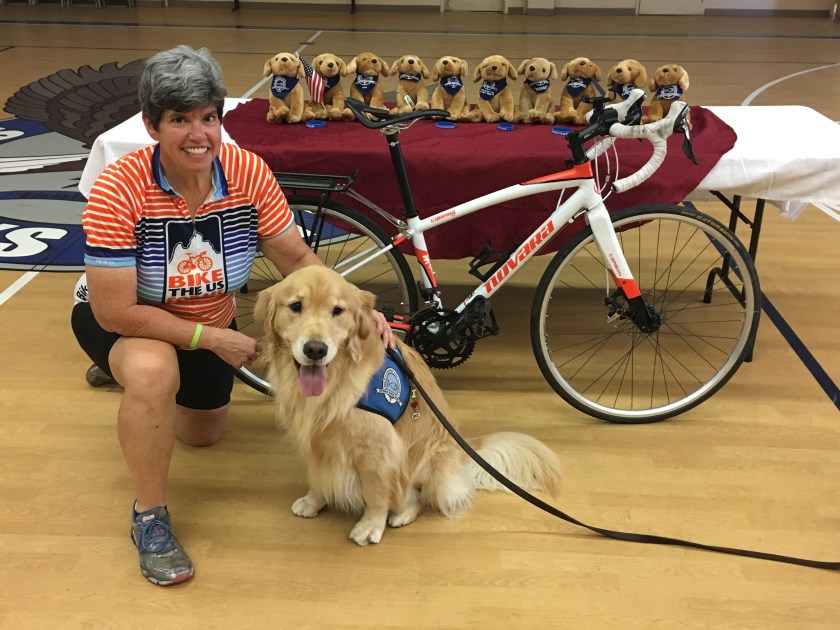 Image 2018-06-05_17-00-54-447